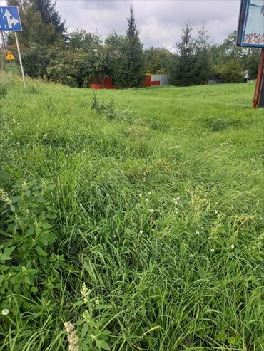 działka na sprzedaż 1000m2 działka Byków