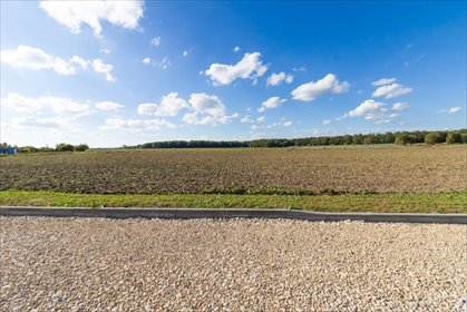 działka na sprzedaż 18000m2 działka Tychy