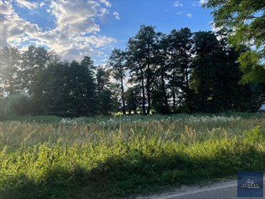 Działka 1500 m² w Kotuniu - idealna pod dom polecam działka Kotuń