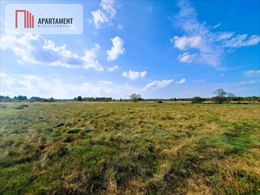 Do sprzedania działka 10 000 m² w Szczenurze blisko natury działka Szczenurze