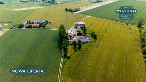 Zapraszam do inwestycji 44 000 m² w Marcinowie lokal użytkowy Marcinów