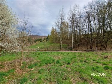 działka na sprzedaż 1300m2 działka Nielepice, Nielepice