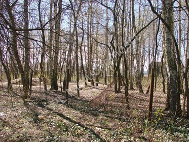 Działka budowlana 1953 m² w Milanówku - polecam działka Milanówek