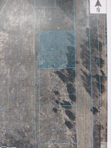 działka na sprzedaż 3000m2 działka Adamów Drwalewski