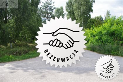 Działka rolna na sprzedaż Radoszyna 31 100m2 Foto 1