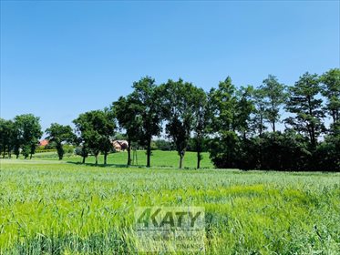 działka na sprzedaż 3154m2 działka Rudołtowice