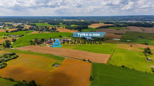 działka na sprzedaż 10001m2 działka Przęsin