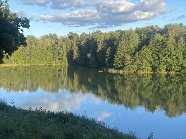 Dom z dużą garderobą i jeziorami w okolicy dom Łutynowo, Łutynowo