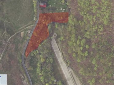 działka na sprzedaż 8241m2 działka Wojcieszów, Bolesława Chrobrego