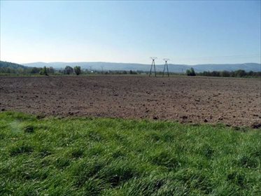 Działka rolna na sprzedaż Karłowiec, okolice Świerdadowa 5 300m2 Foto 5