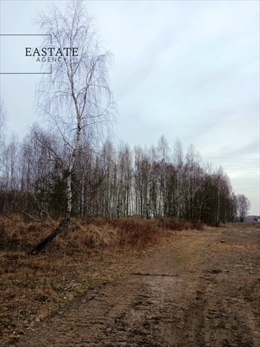 działka na sprzedaż 5440m2 działka Koryta