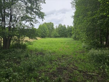 Działka 5179 m² nad jeziorem Białym - Gorzewo działka Gorzewo