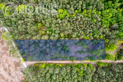 działka na sprzedaż 4297m2 działka Radziejowice, Do Lasu