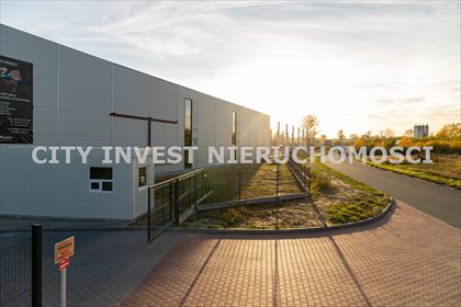 magazyn na wynajem 4200m2 magazyn Kożuchów