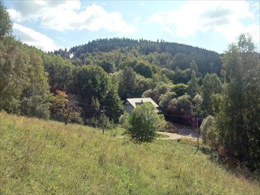 działka na sprzedaż 1625m2 działka Duszniki-Zdrój