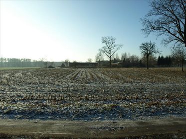 Działka budowlana na sprzedaż Liszkowice 8 000m2 Foto 3