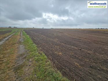 działka na sprzedaż 32356m2 działka Piotrków Trybunalski