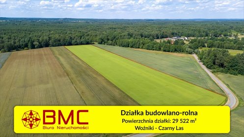 działka na sprzedaż 29522m2 działka Woźniki, Czarny Las, Czarny Las