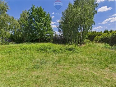 działka na sprzedaż 848m2 działka Żory, Rowień, Rybnicka