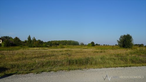 działka na sprzedaż 5175m2 działka Kamieniec Wrocławski