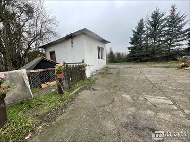 Gospodarstwo rolne z mieszkaniami 1,3 ha - polecam lokal użytkowy Dolice