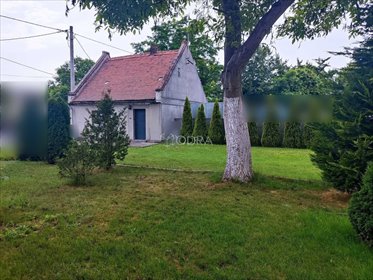Sprzedam dom 55 m² z działką 6 arów w Jelcz-Laskowicach dom Jelcz-Laskowice