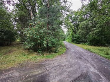 działka na sprzedaż 19400m2 działka Górki