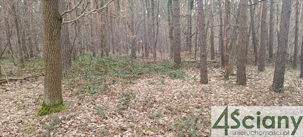 działka na sprzedaż 2103m2 działka Sękocin-Las