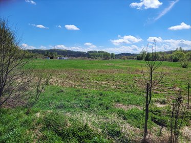 Działka na sprzedaż 19200m2 działka Przeginia Duchowna, Śląska