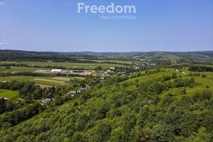 działka na sprzedaż 18004m2 działka Krzywe