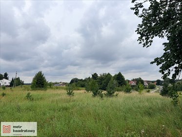 Działka 3218 m² przy drodze wojewódzkiej - blisko infrastruktury działka Małe Pułkowo, Małe Pułkowo