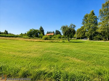 działka na sprzedaż 1360m2 działka Owczary