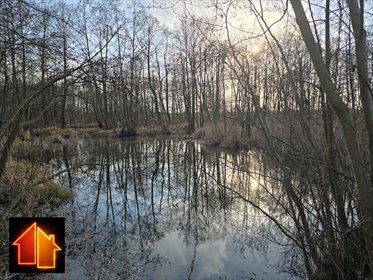 działka na sprzedaż 3368m2 działka Gostynin (gw)