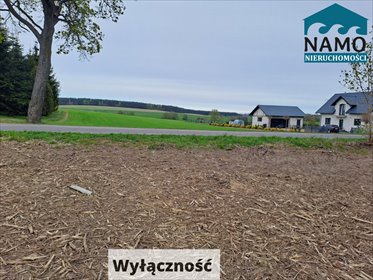 działka na sprzedaż 3746m2 działka Gołębiewo Wielkie, Wrzosowa