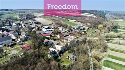 Lokal użytkowy na sprzedaż Tarłów 700m2 Foto 7