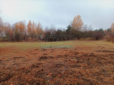 działka na sprzedaż 1000m2 działka Rusiec