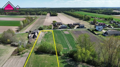 Działka 1,66 ha z MPZP, las i ogród w Grabinie. działka Grabina