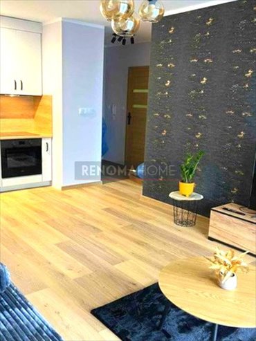 mieszkanie na wynajem 40m2 mieszkanie Zielona Góra