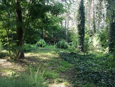 Działka leśna na sprzedaż Przyrownica 41 645m2 Foto 1