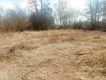 Działka budowlana na sprzedaż Milanówek 9 150m2 Foto 3
