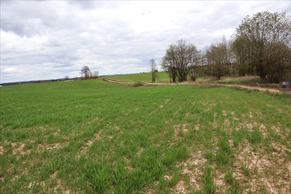 Działka rolna na sprzedaż Gorłówko 3 883m2 Foto 7