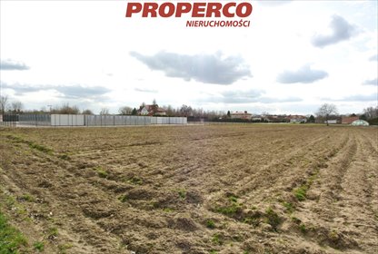 działka na wynajem 6000m2 działka Warszawa, Białołęka, Płochocińska