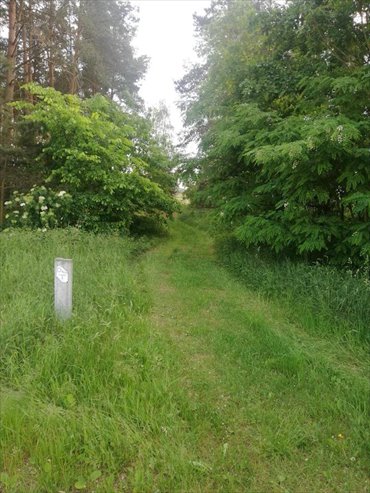 działka na sprzedaż 21300m2 działka Szczudłów