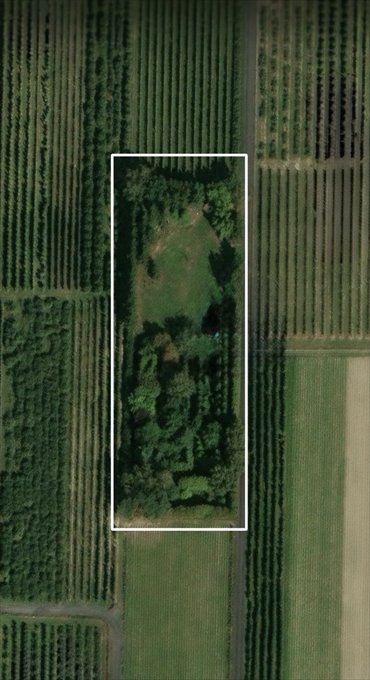 Sprzedam dużą działkę 3772 m² w Gośniewicach działka Gośniewice
