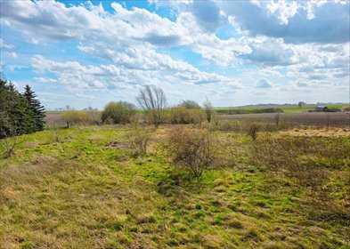 działka na sprzedaż 3566m2 działka Uścikowo-Folwark