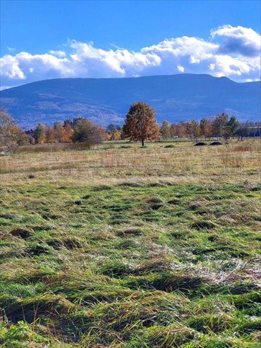 działka na sprzedaż 1270m2 działka Mysłakowice