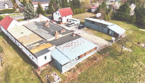 lokal użytkowy na sprzedaż 8655m2 lokal użytkowy Lubniewice, Lubniewice