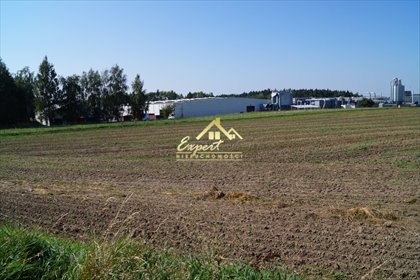 działka na sprzedaż 17453m2 działka Nowe Miasto Lubawskie, Nowe Miasto Lubawskie