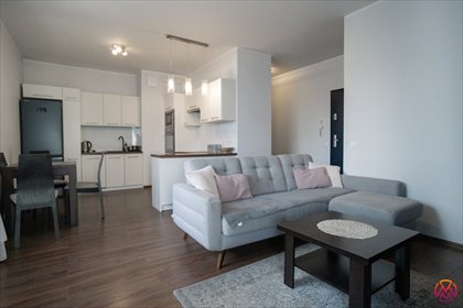 mieszkanie na wynajem 49m2 mieszkanie Łódź, Śródmieście, Śródmieście, Tylna