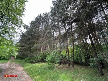Działka pod rezydencję w Wyczerpy, 10 685 m², las, media działka Częstochowa, Kontkiewicza